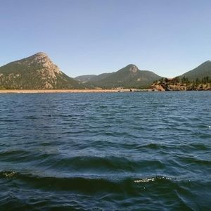 Meet your Posher, Miguel